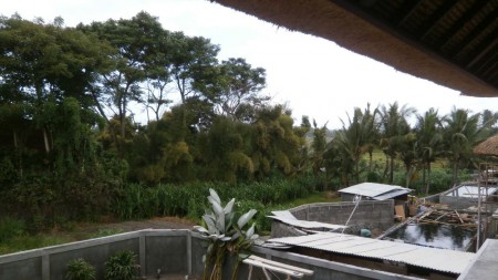 An other view of the area and the neigbours