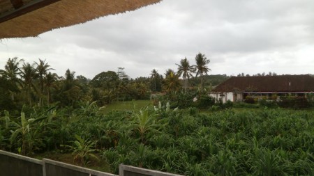 A view of the Area