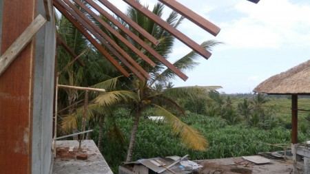 View from the Living room