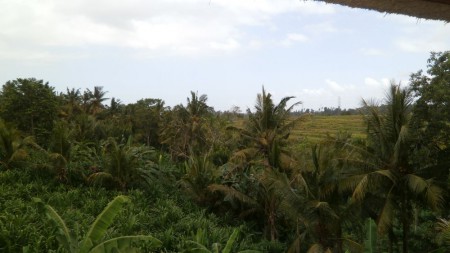 Aera view