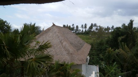 Area view
